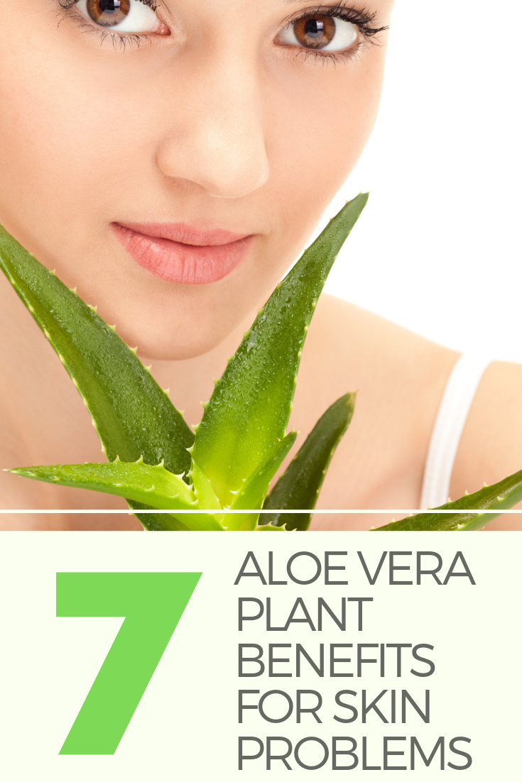 7 Aloe Vera Plant Benefits For Skin Problems