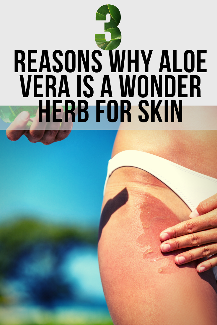 3 Reasons Why Aloe Vera is A Wonder Herb For Skin